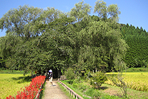 芭蕉が歩き、見た風景を辿る