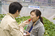いちご狩り