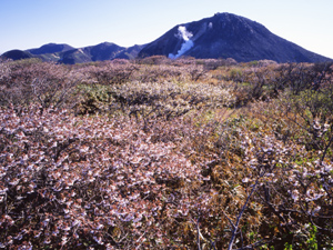 茶臼岳登山