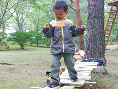 ツリートレッキング　多彩なプログラム2