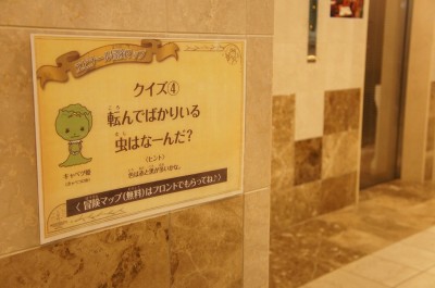 DSC00840