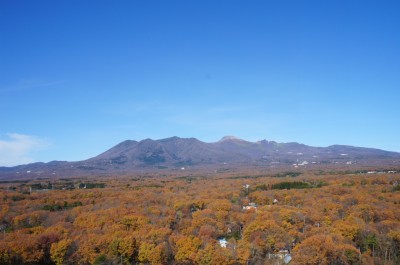 DSC06979