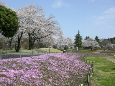 長峰公園