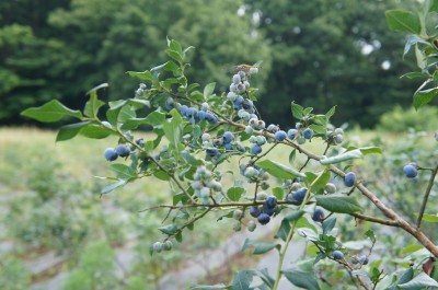 DSC01779
