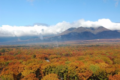 山＿秋編集済