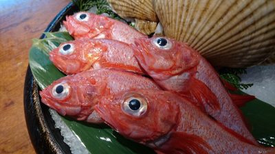 真っ赤な身体の魚の正体は?