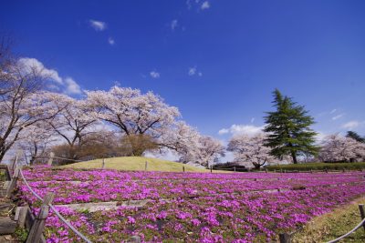 長峰公園ｓ