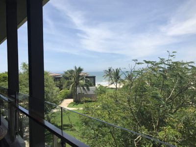 海