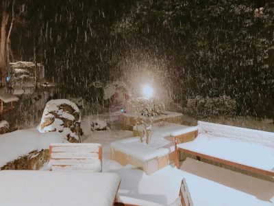 大雪☆