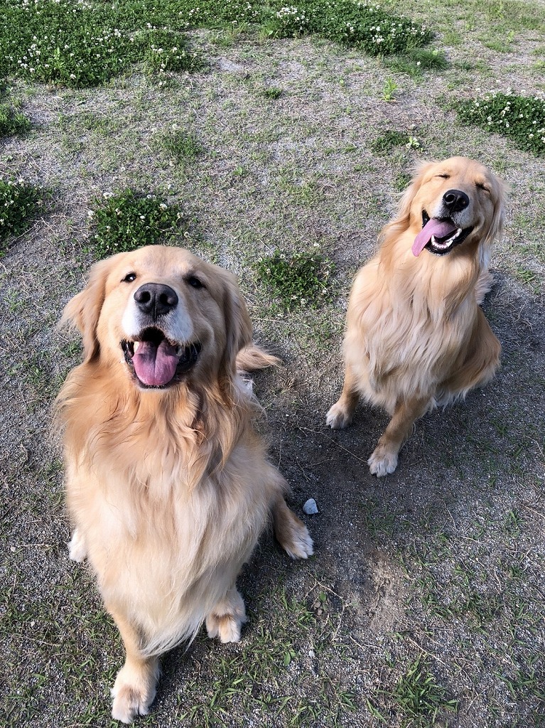 🐾こなす、家族に会う🐾