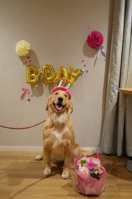 お誕生日会開催だワン！