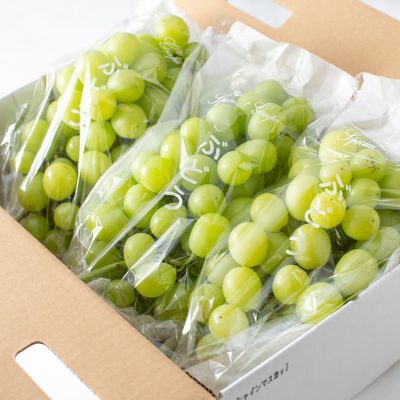 秋商品出揃いました！！