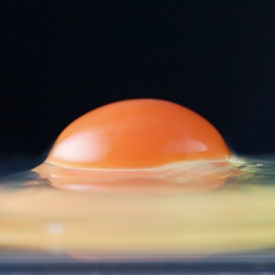 egg2