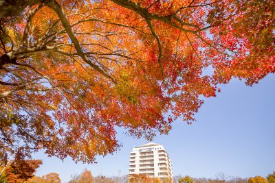 ホテル周辺の紅葉情報をお届け☆