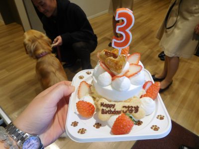 こなすのお誕生日会