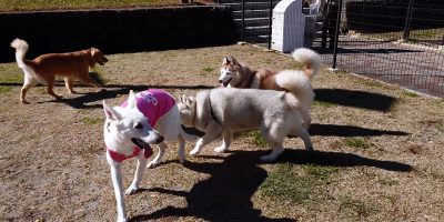 お出かけ日和♪