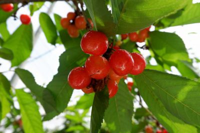 愛し合う２人、幸せの空、隣どおしあなたと