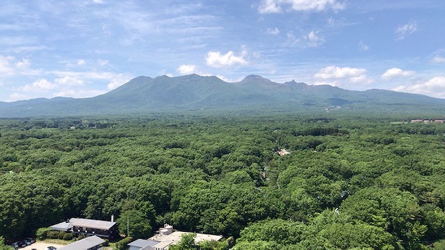 新緑のおもてなし♪