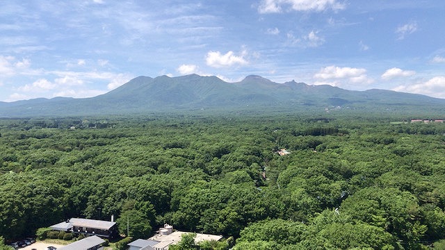 新緑のおもてなし♪