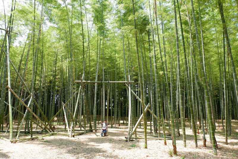 見渡す限りの竹林♪