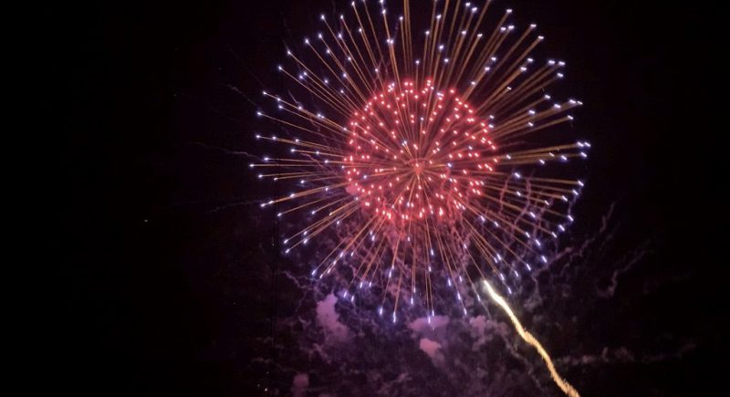 今年も花火鑑賞だワン！