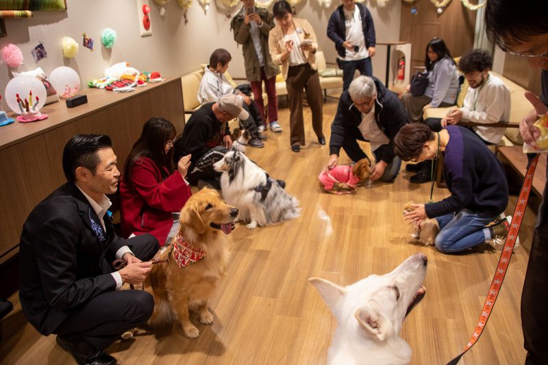 11.29 看板犬こなすの誕生日会