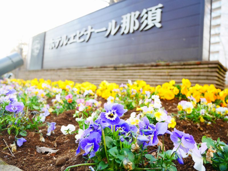春を彩るお花たち♪レジャー施設続々オープン！