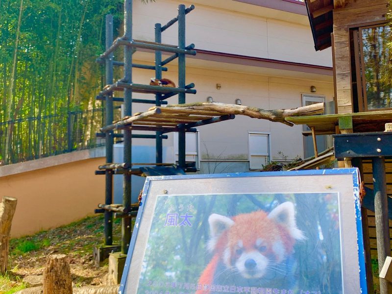 動物園って楽しいな♪