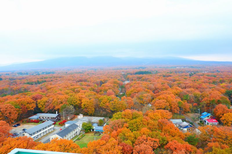 那須高原の紅葉☆はじまりま～す！！