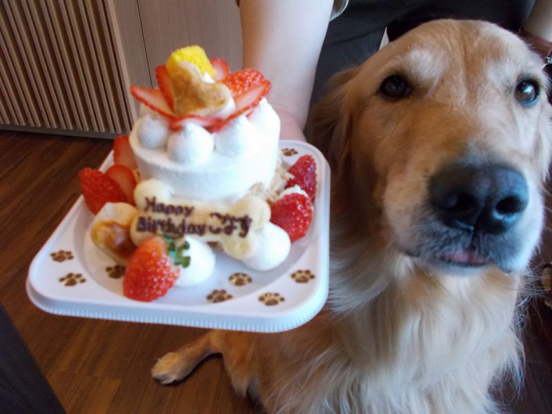 今年のイイニクの日は～？？