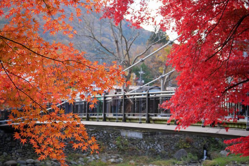 9月末頃から紅葉が始まります♪