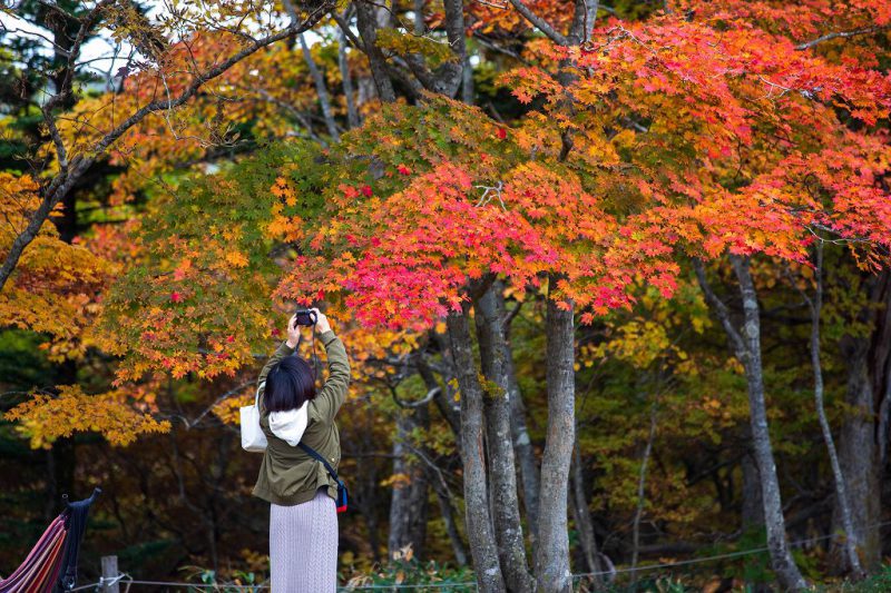 紅葉を見に行きましたよ～🍁