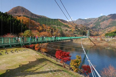 紅葉シーズン♪