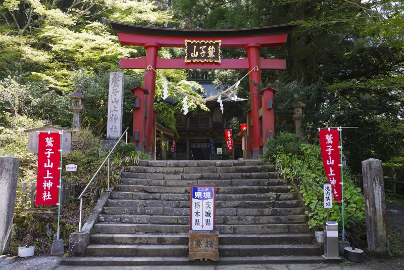 幸福を呼ぶ★フクロウ神社！