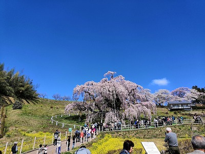 ネイチャーツアーのご紹介♪