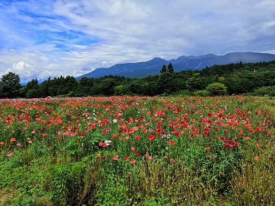 那須のパワースポットで癒やされて