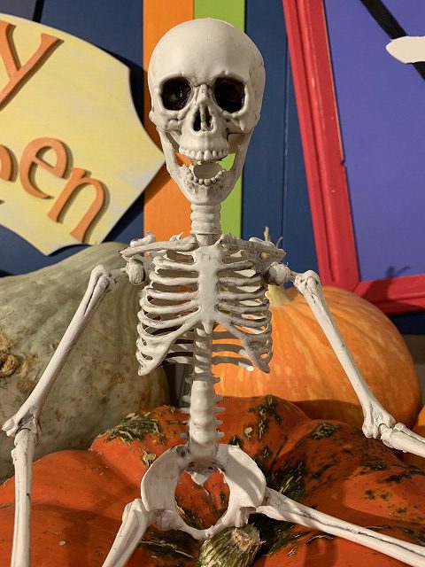 Happy Halloween