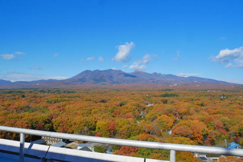 絶景を見逃すな❗今が見頃の那須高原紅葉スポットまとめ🍁