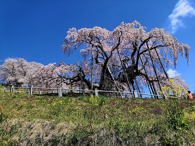 今年も目白押し♪