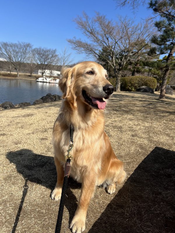 こなすと公園に行きました♪