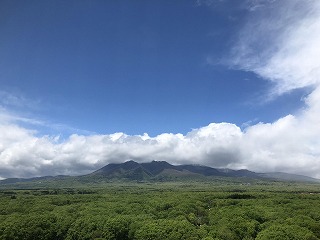 夏の風物詩🎐