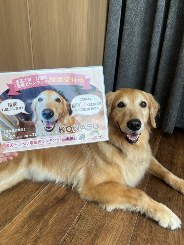 看板犬ランキング投票よろしくお願いします！