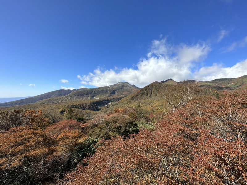 まだまだご予約受付中♪～11月のツアーもお知らせ～