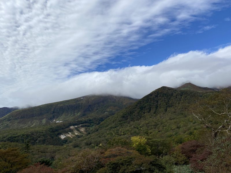 紅葉ツアー始まりました！🍁