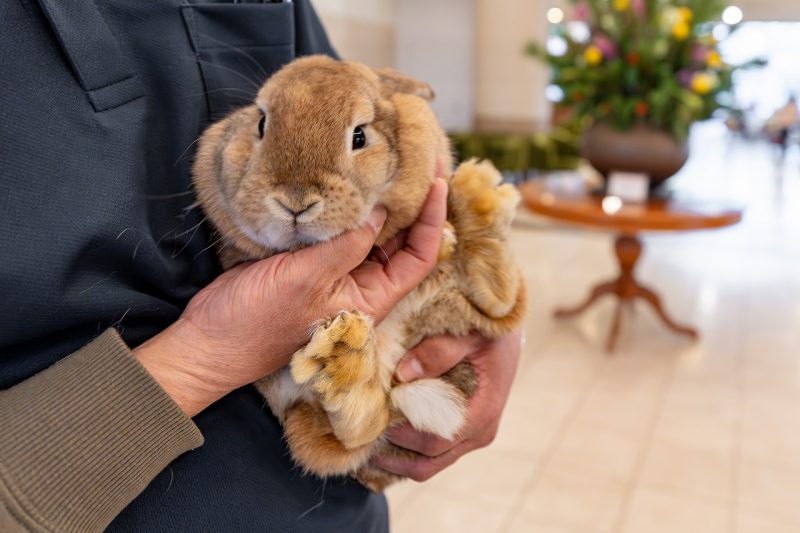 2月もエピナールで過ごしませんか？