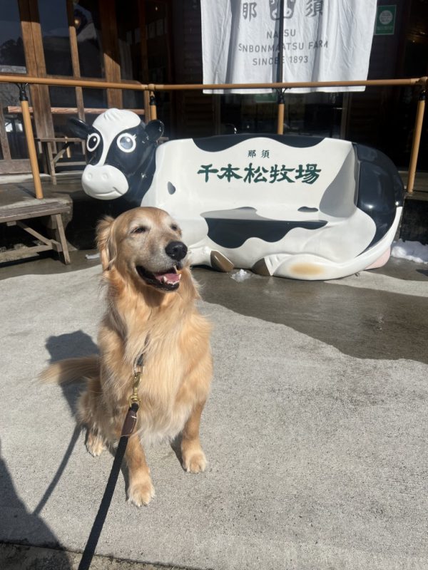 看板犬こなす引退のお知らせ