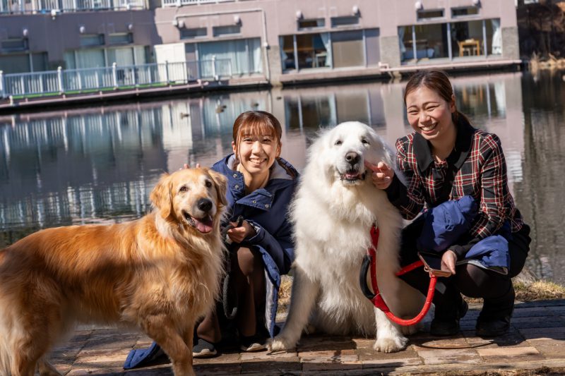 【引退まであと5日】看板犬こなすがライバルと感動の対面🐶✨