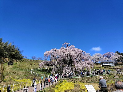 春はすぐそこ♪