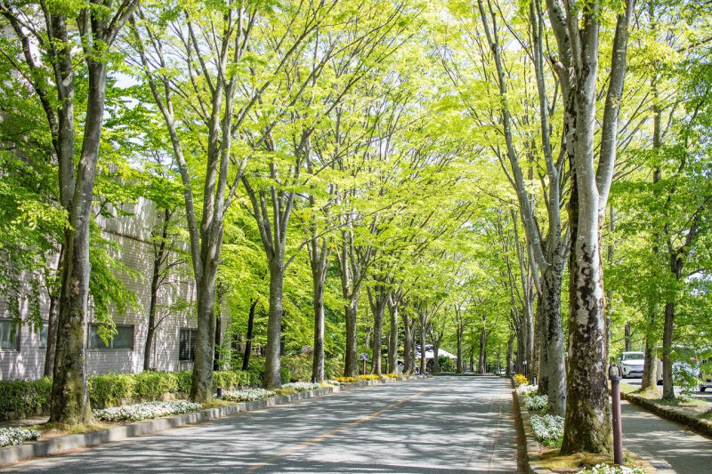 6月15日は栃木県民の日♪〜お得な宿泊プランを販売中〜