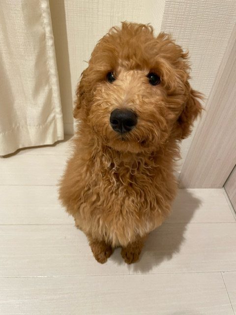 私の名前は・・・！